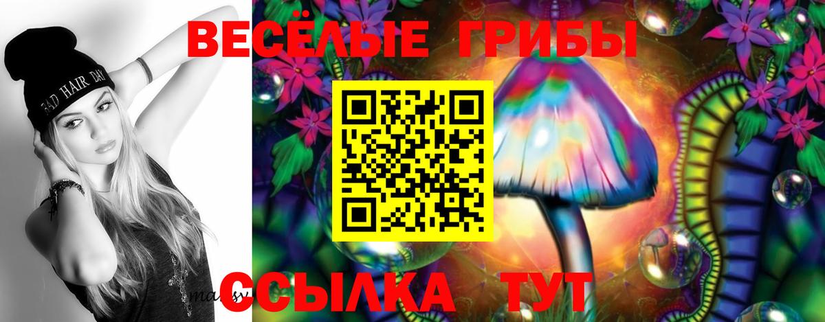 Псилоцибиновые грибы MAGIC MUSHROOMS Аргун